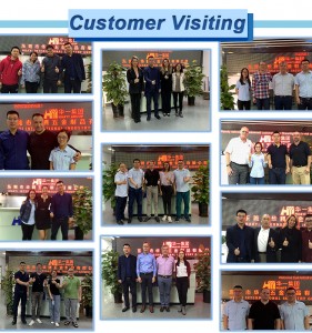 custom visiting